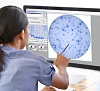 客観的、科学的に検証されたELISPOT計数ソフトウェア