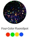 マルチプレックスELISPOT / Fluorospot Kit
