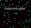 FlexiCyte™ アッセイ